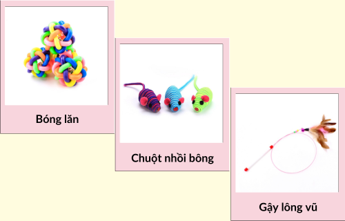 Gợi Ý Đồ Chơi Cho Mèo Theo Độ Tuổi Từ 1 Tháng Đến 7 Tuổi đồ chơi cho mèo