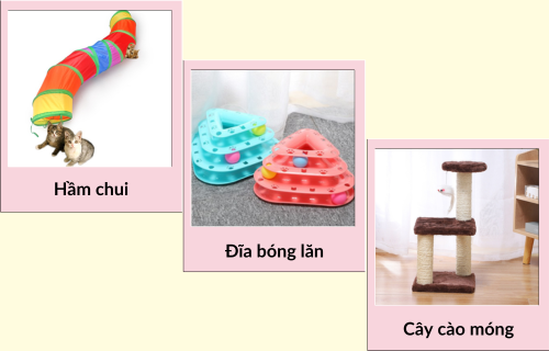 Gợi Ý Đồ Chơi Cho Mèo Theo Độ Tuổi Từ 1 Tháng Đến 7 Tuổi Đồ chơi cho mèo 2
