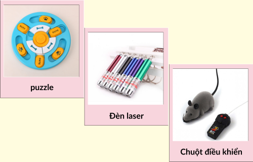 Gợi Ý Đồ Chơi Cho Mèo Theo Độ Tuổi Từ 1 Tháng Đến 7 Tuổi đồ chơi cho mèo 3
