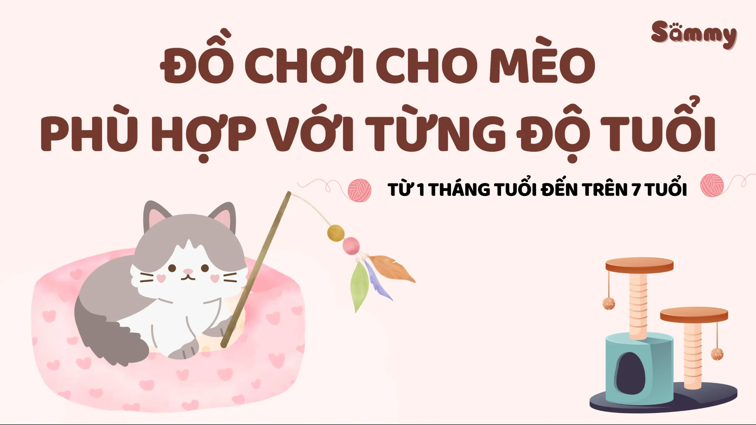 đồ chơi cho mèo bìa