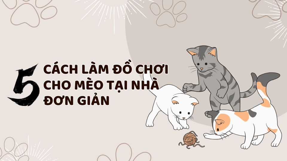 cách làm đồ chơi cho mèo đơn giản