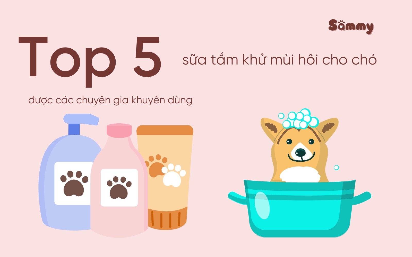 Top 5 Sữa tắm khử mùi hôi cho chó