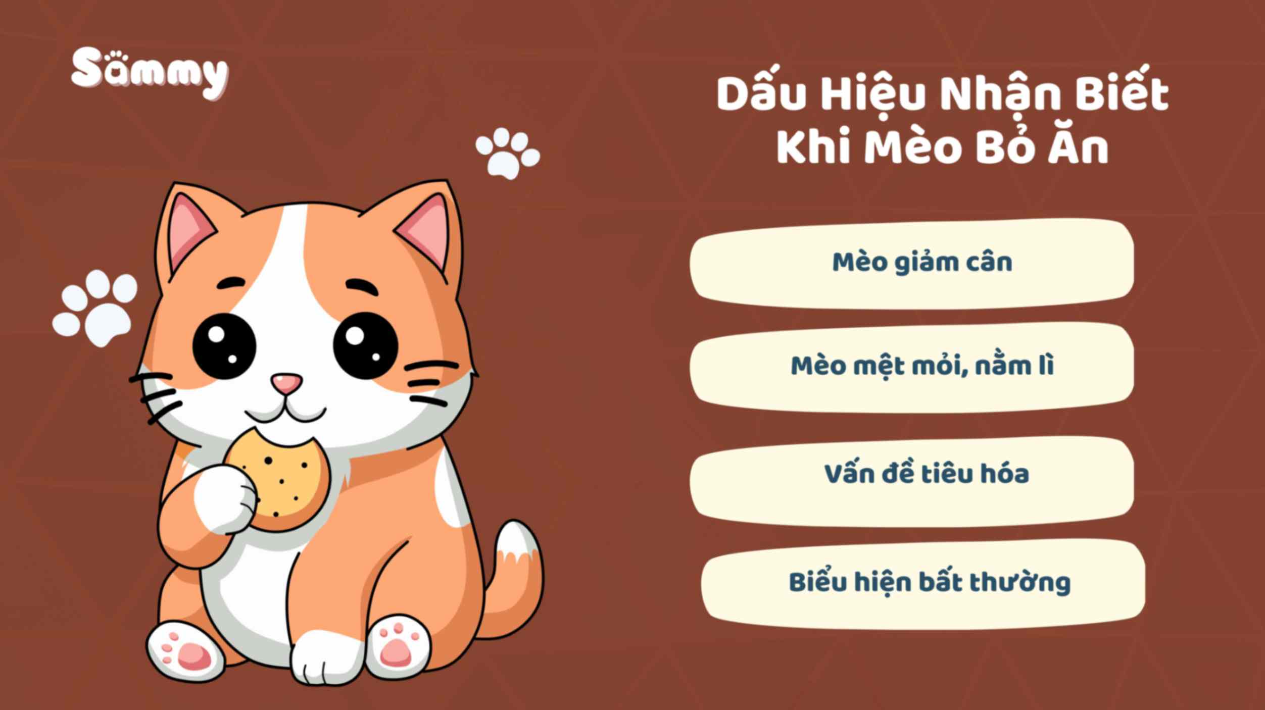Mèo Bỏ Ăn Nguyên Nhân Do Đâu và Cách Xử Lý Tình Trạng Này Dấu hiệu mèo bỏ ăn