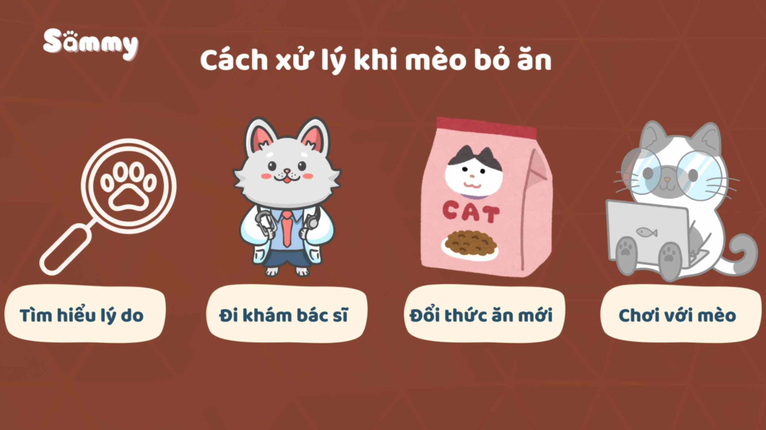 Mèo Bỏ Ăn Nguyên Nhân Do Đâu và Cách Xử Lý Tình Trạng Này cách xử lý mèo chán ăn