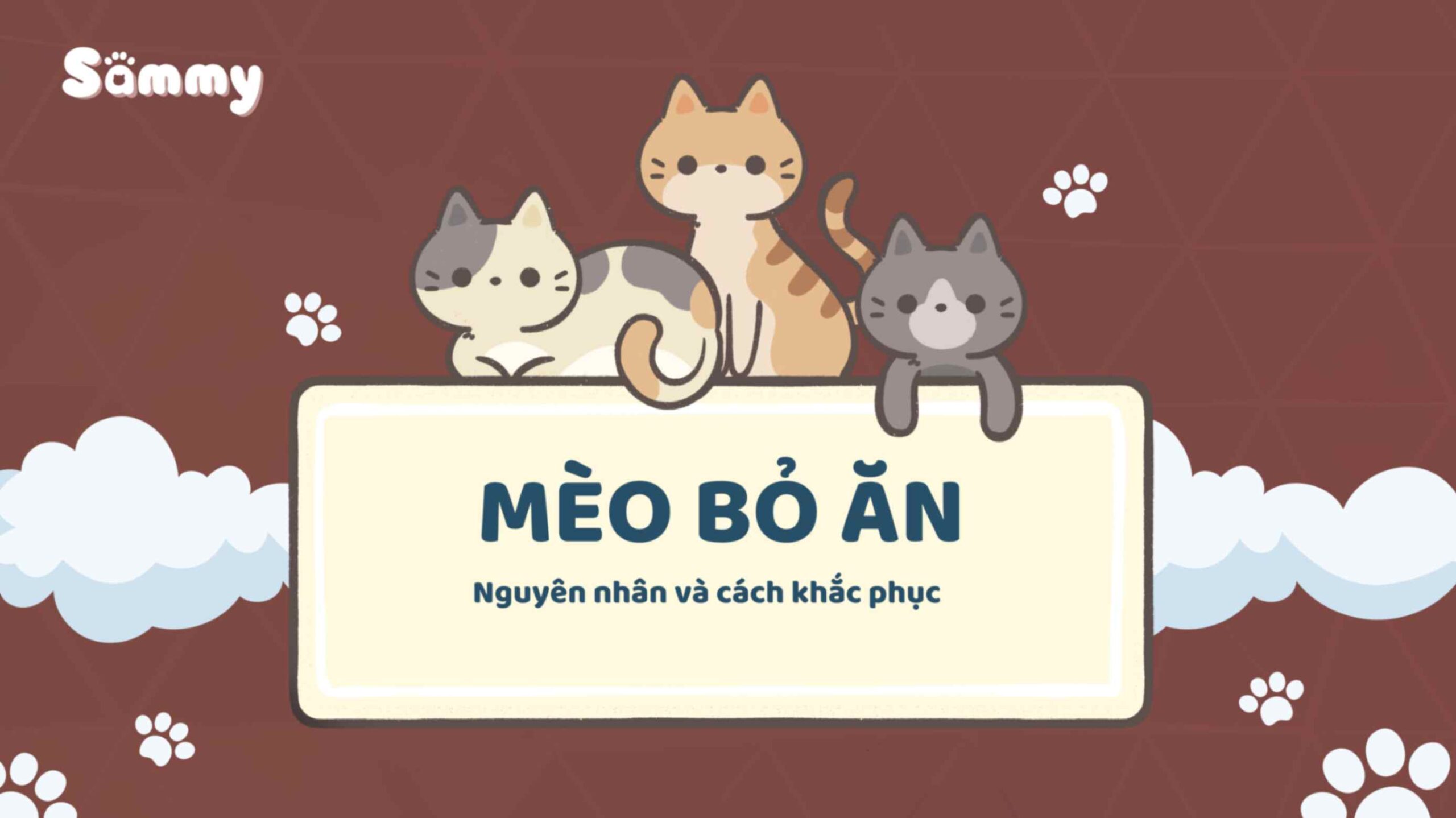 Mèo bỏ ăn do đâu