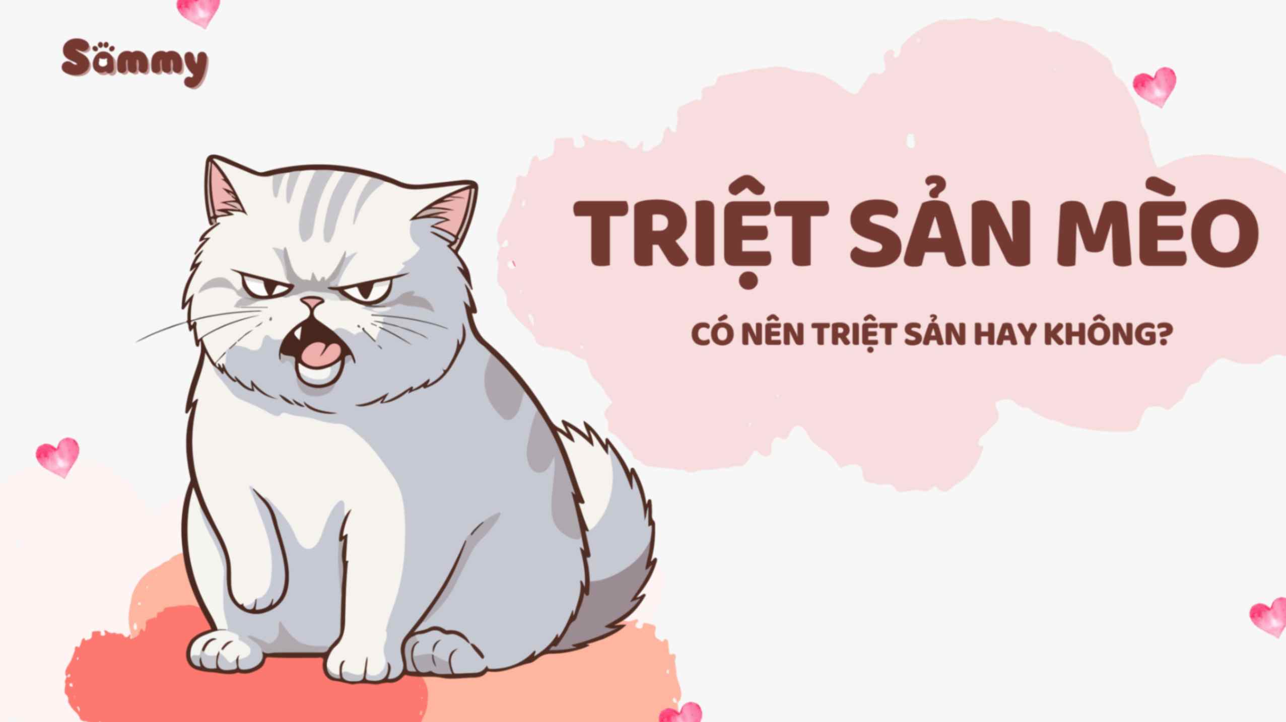 Triệt Sản Cho Mèo Có Cần Thiết Không? Tại Sao Phải Triệt